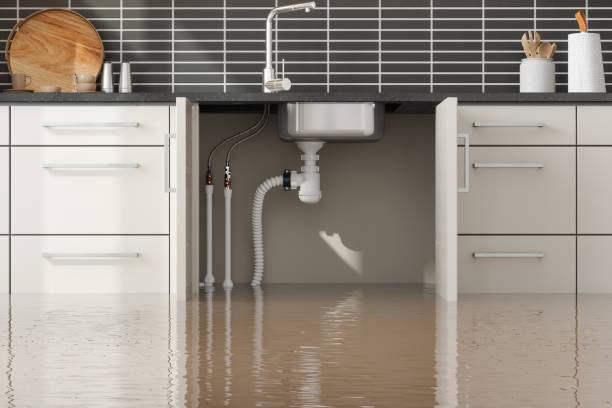 Best Fire Damage Restoration  in Pleasant Run Farm, OH